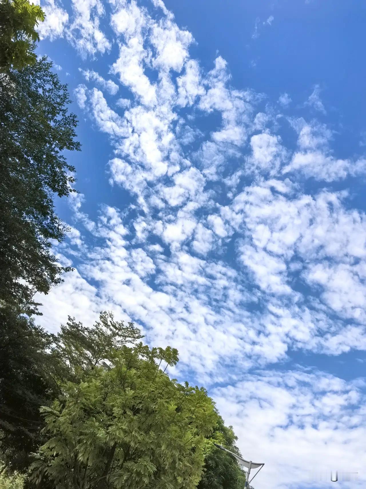 1976年出生，49岁，更年期症状突然就自己消失了1976年出生，49岁的她