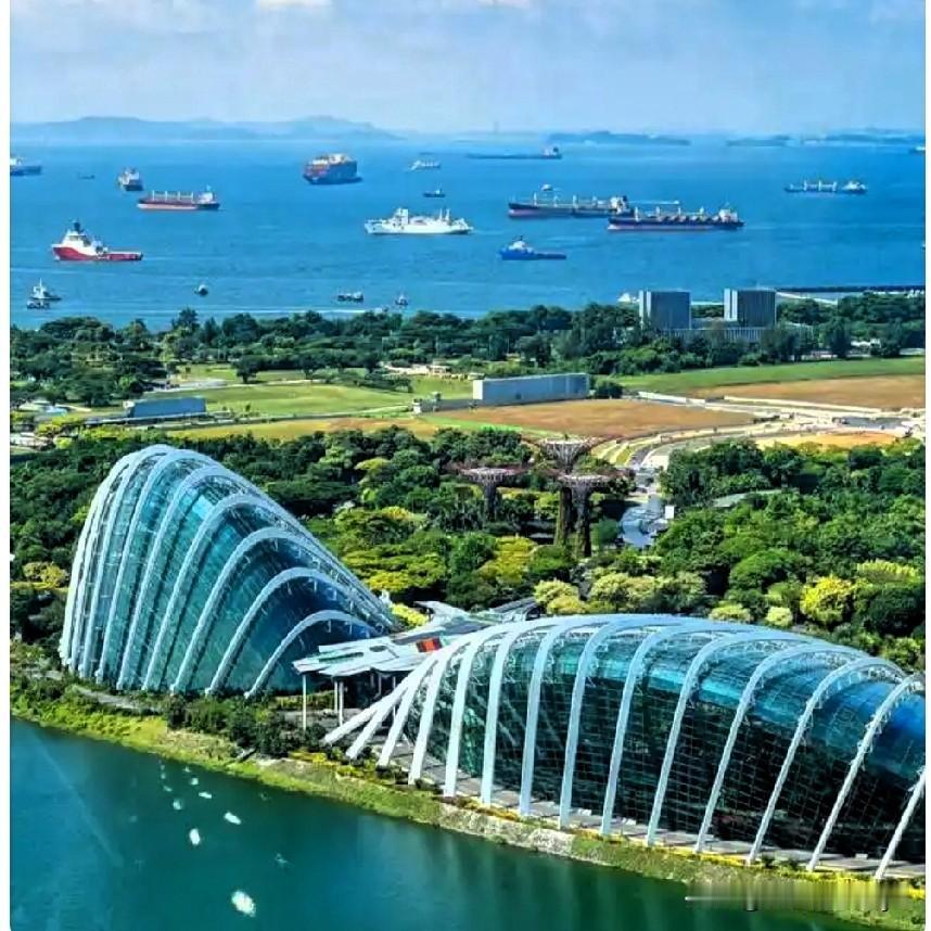 近期，国际舆论的关注点大量转向新加坡，其受关注程度几乎超过了美墨加世界杯。“印加
