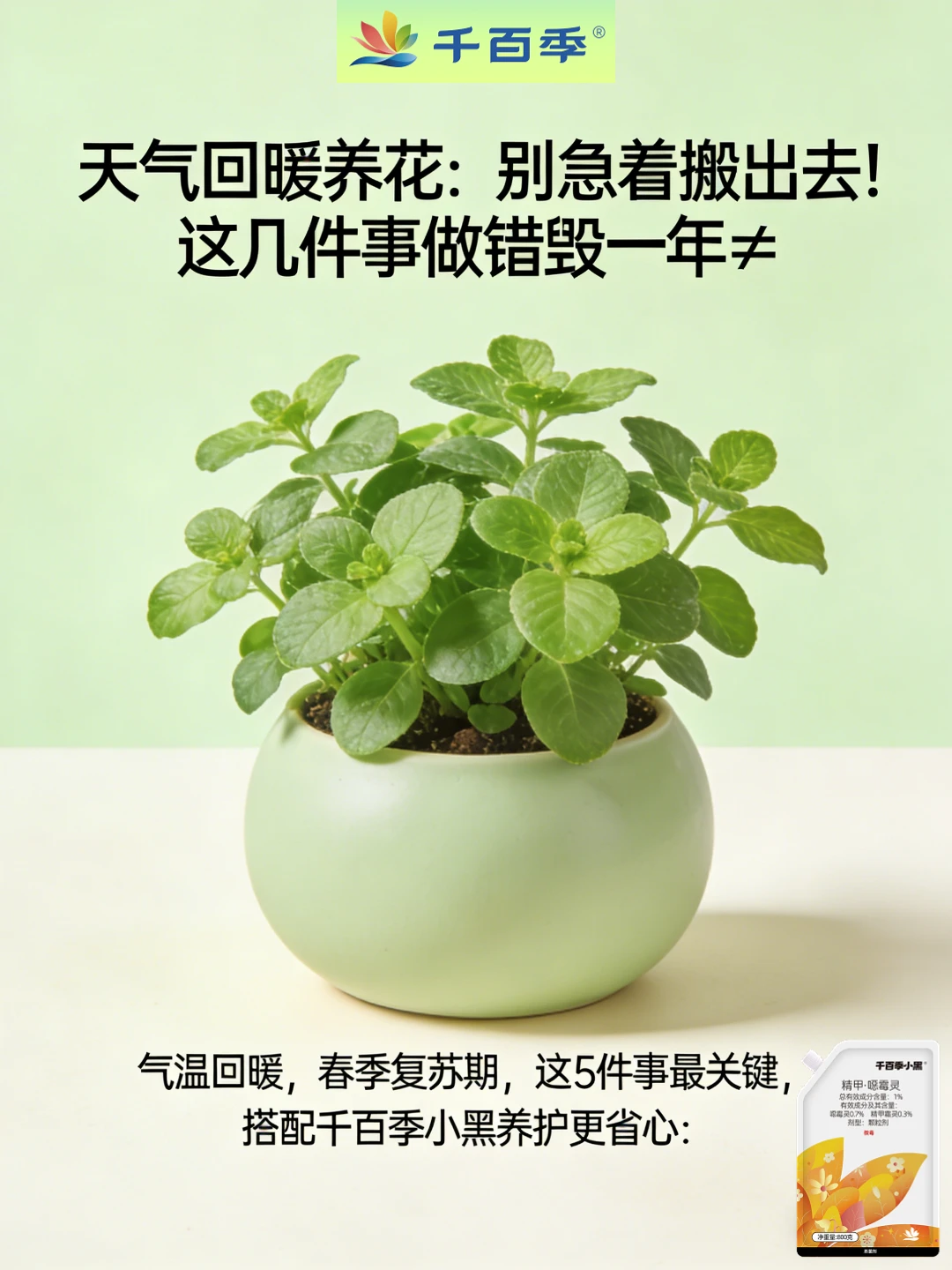 天气回暖养花：别急着搬出去！