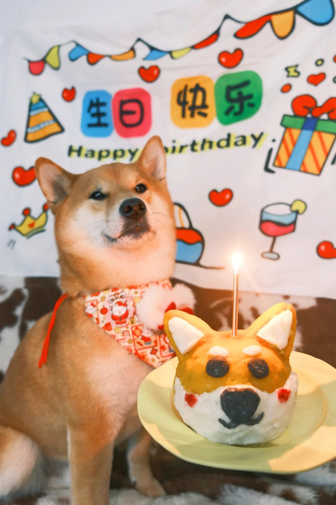 是四岁的小狗啦🎂