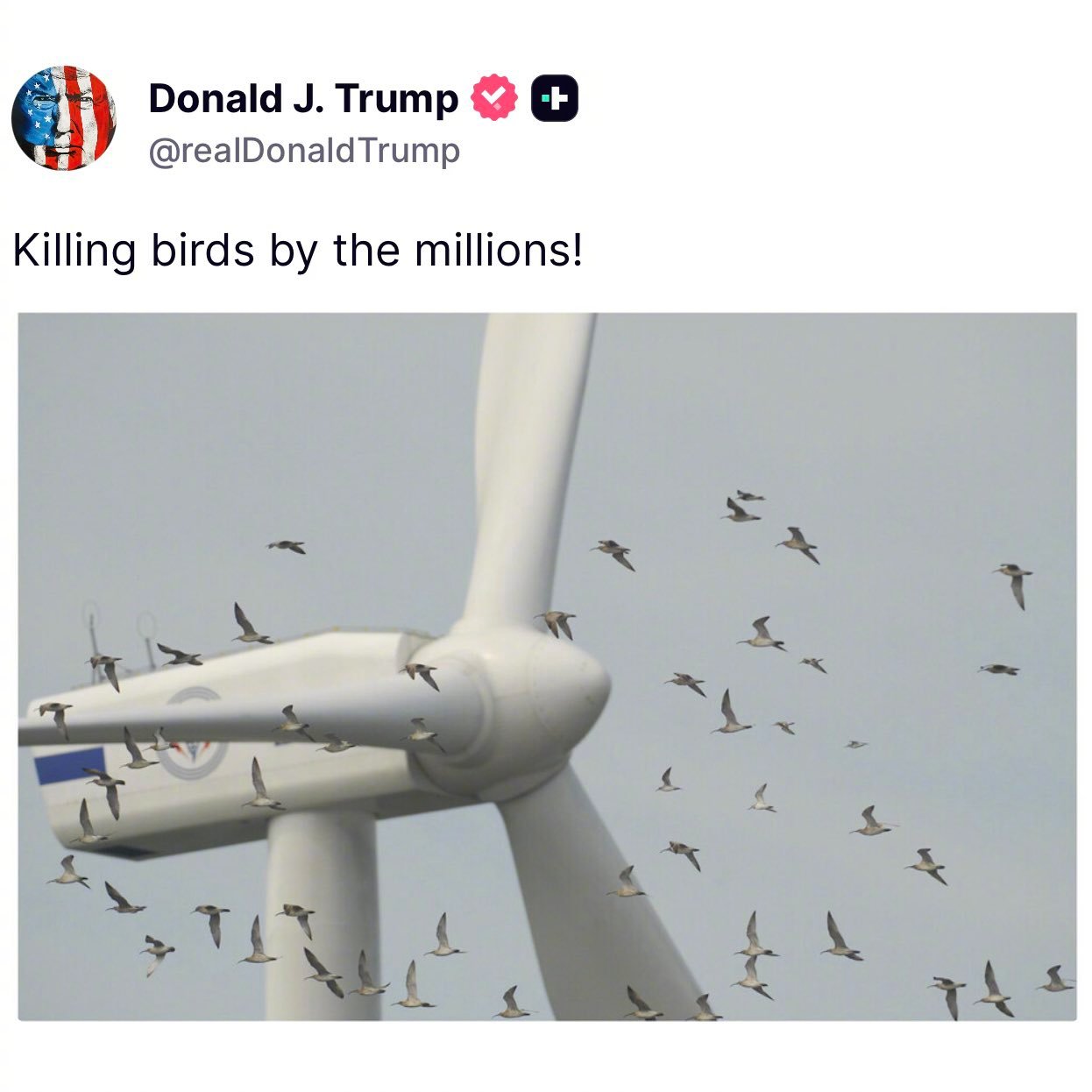 阿川环保，心善！看不得这些。