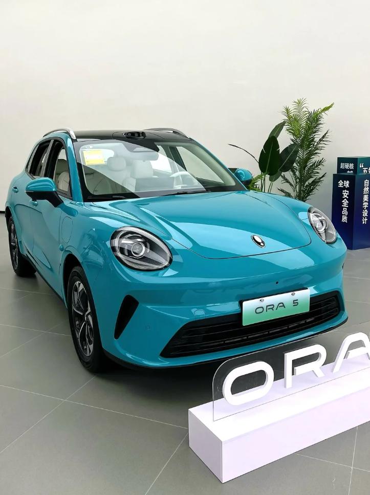 长城欧拉5上市：它能不能成为大家10万级纯电SUV的靠谱选择呢？ 今天去店里