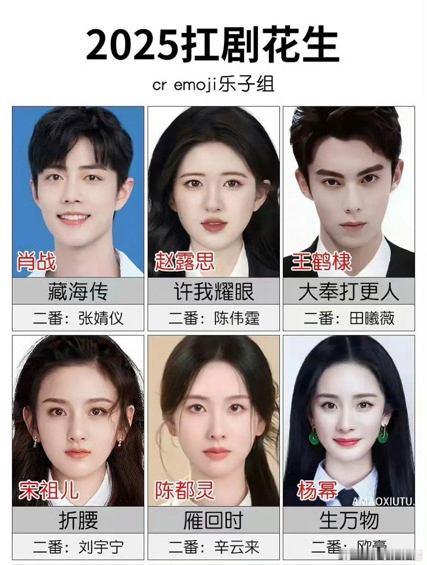 网友总结的2025扛剧花扛剧生，你认可吗😳扛剧生：肖战，王鹤棣，檀健次，白