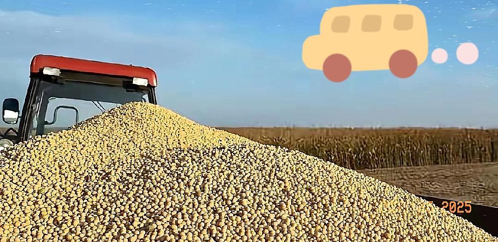 200万吨大豆烂港,巴西错判中国贸易底牌!巴西圣保罗港,200万吨大豆堆积如