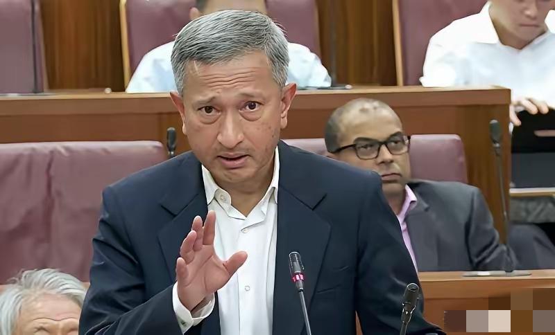 完了，这回真急眼了！新加坡外长维文这回是真急眼了，公开指责中国和印尼“绕道”，