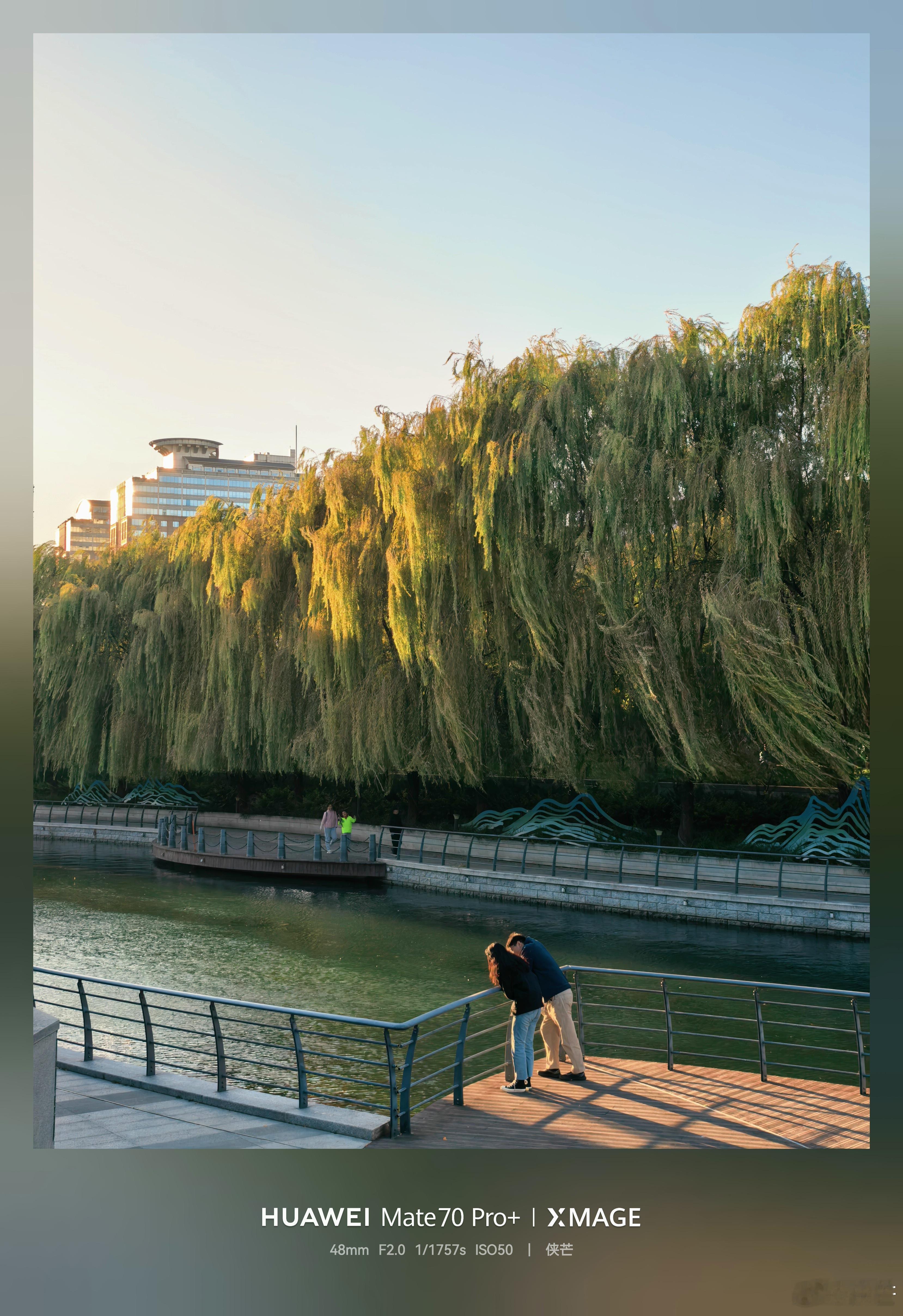 亮马河秋韵深秋午后，阳光如金。柳树泛着柔和的金辉，仿佛整条河流都