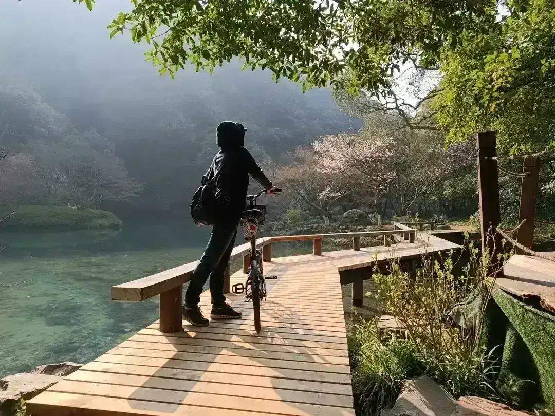 杭州九溪十八涧风景优美，虽然现在是冬季，也不耽误姹紫嫣红来点燃九溪十八涧的热情。