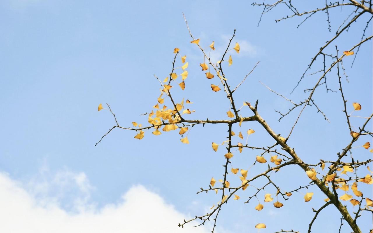普通家长和厉害的家长是有区别的，我举个例子你就明白了。比如，常有家长问我：“你们
