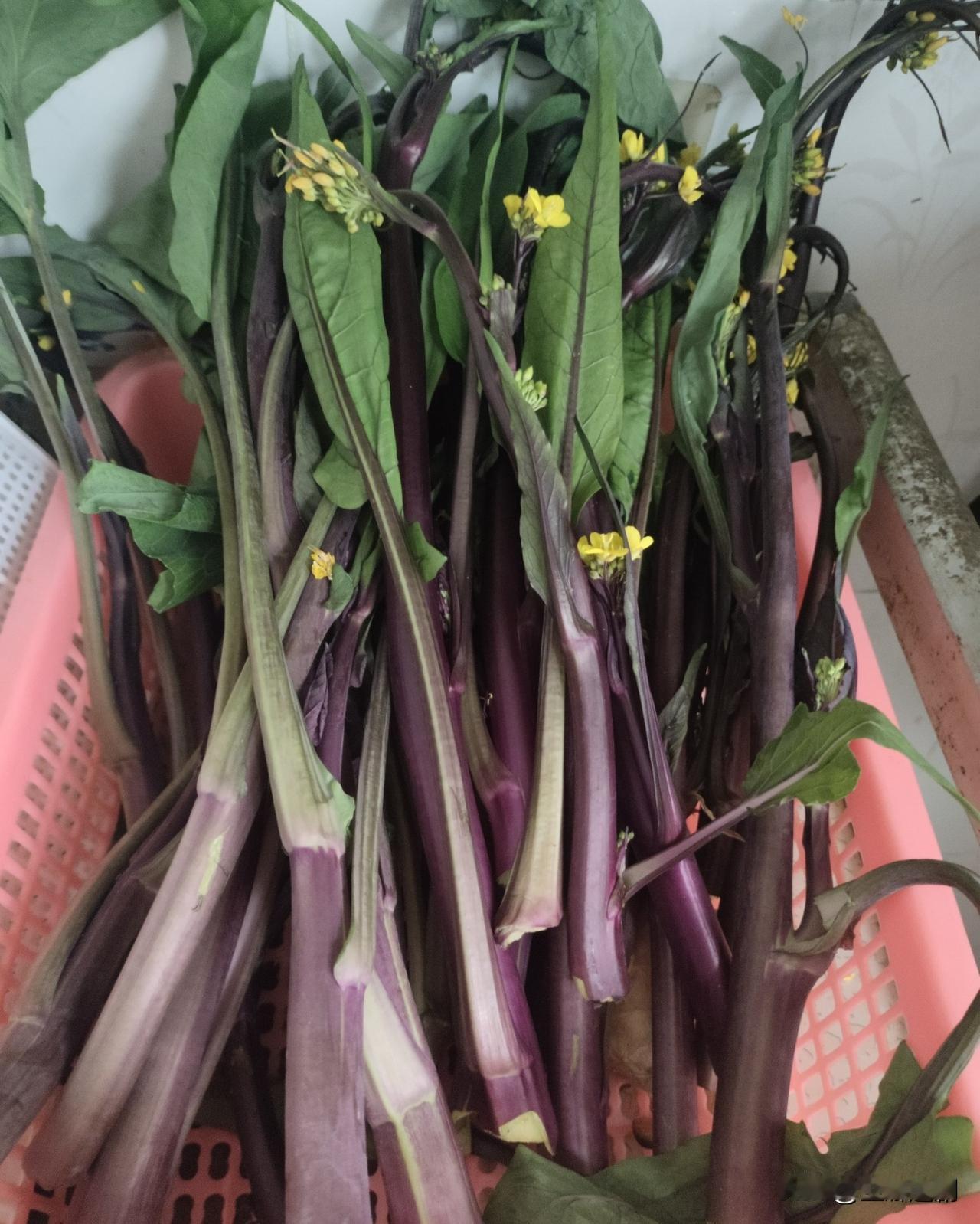 真心奉劝大家，别再随便把钱借出去了！不管对方是亲兄妹还是好朋友，借钱前一定要