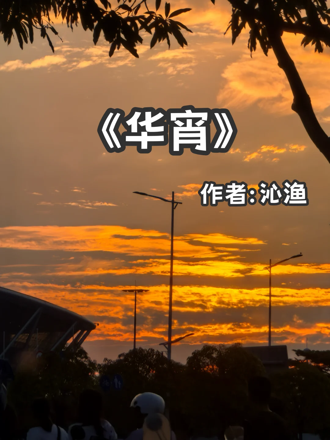 宅家小说｜职场商战《华宵》