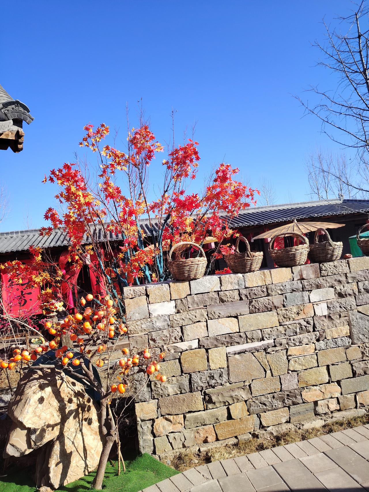 春日生活打卡季去漫屿山野玩了，那里的景色很美，虽然是冬季，但能感觉到春天的气息。