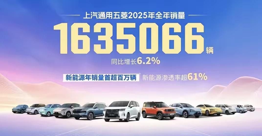 2025国内六大汽车集团销量出来了：第一名比亚迪460.24万辆同比增