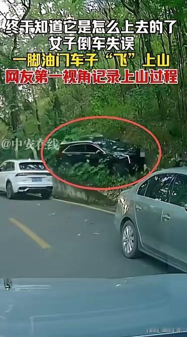 哎哟我去！这开车技术真是让人看得心惊肉跳！前两天在四川攀枝花，一位女司机倒车时闹