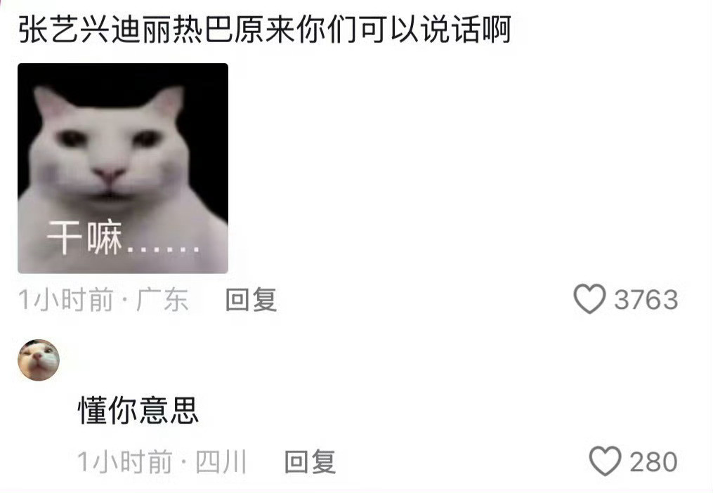 迪丽热巴张艺兴原来你们可以说话啊迪丽热巴张艺兴原来你们可以说话啊，“迪丽热巴张艺