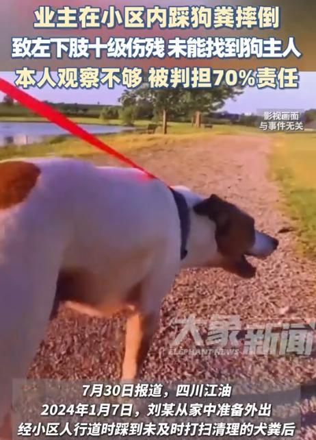 “真走狗屎运了！”四川江油，一业主早上出门散步，不料一脚踩到狗屎摔倒了，事后医院