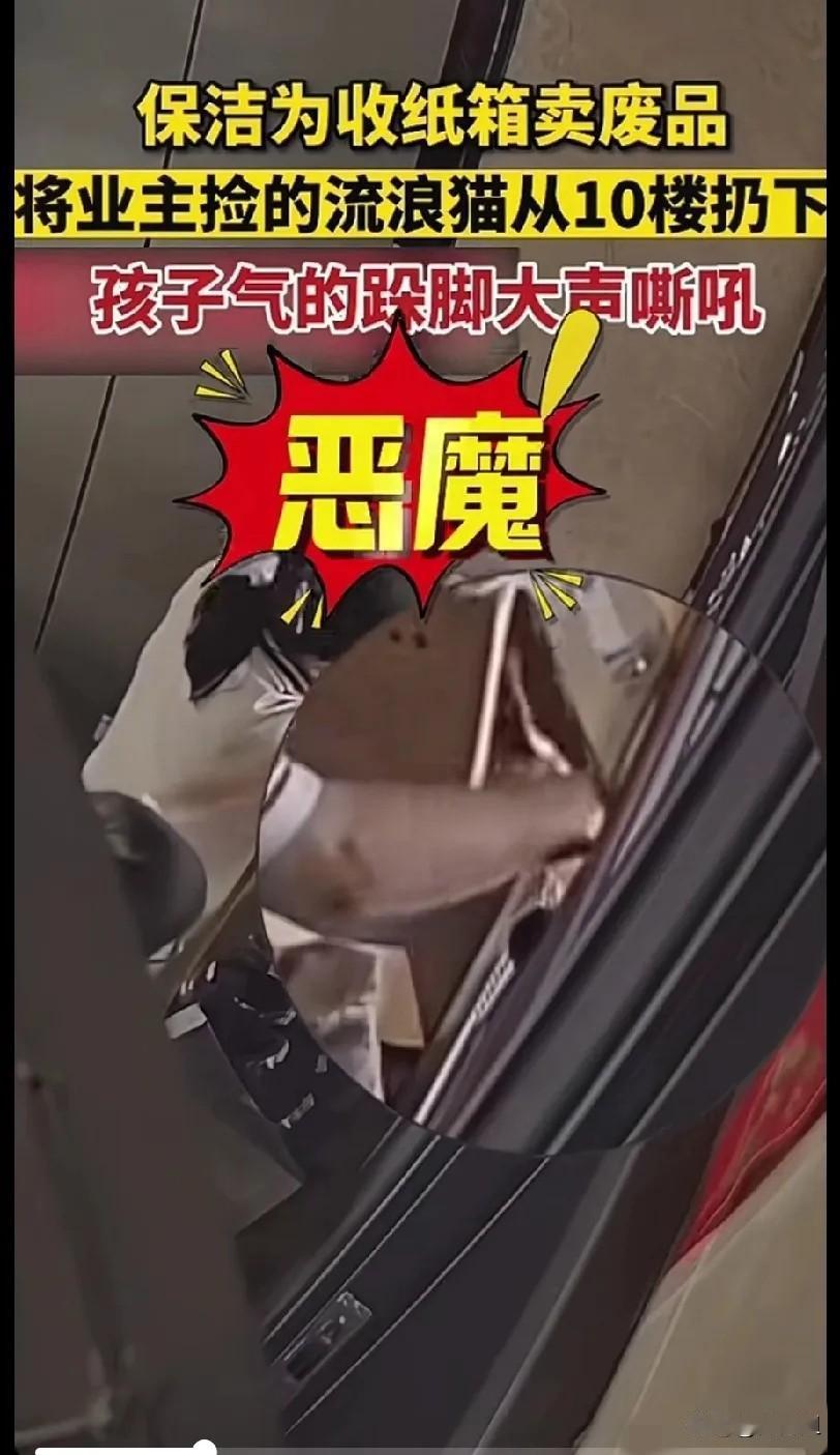 蛇蝎心肠！一小区的保洁员在10楼发现了一个纸箱，业主把纸箱当做流浪猫的小窝，保