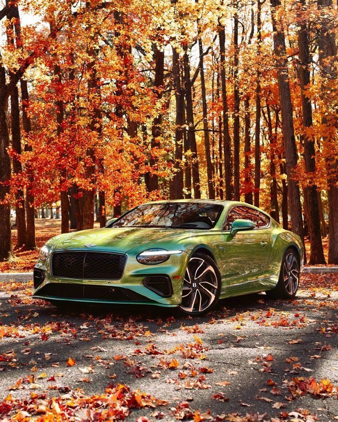 宾利ContinentalGTSpeed优雅登场！限量典藏身份加持，豪华