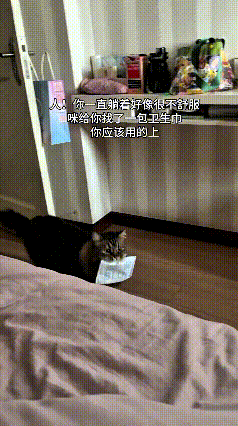 主人身体不舒服，蔫蔫地躺在床上，说话都有气无力的。小狸花猫察觉到主人状态不对，心