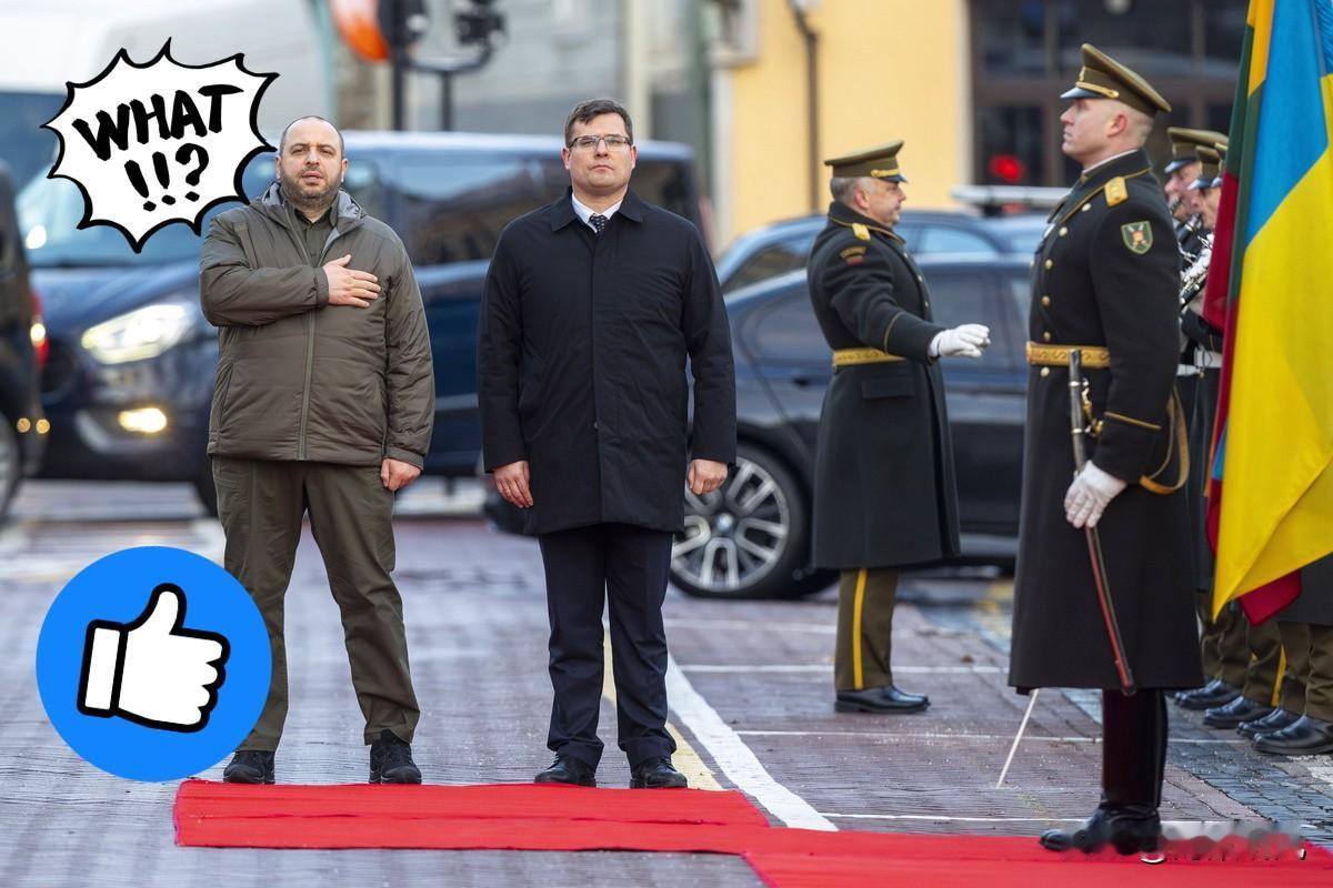 果然被我猜中了白俄罗斯开始反击了！11月3日，白俄罗斯已立法禁止波兰、立陶宛