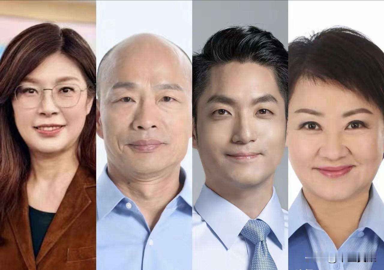 你若问我国民党谁参选2028最有胜选的希望，我会给你一个肯定回答:蒋万安搭配郑丽