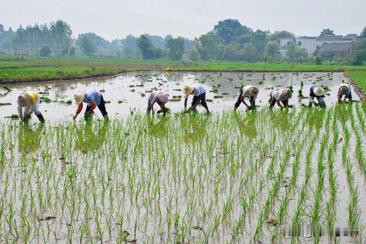 今日下午去楼上看孙女，问她玩了摇摇车没有。因为她跟儿媳妇去街上时，我拿了5个硬币