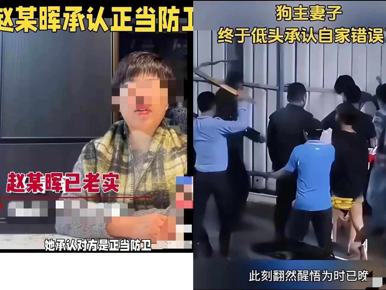 是真累了还是想避重就轻？长治狗咬人案再开庭，狗主女主人一句“不想追了，要养孩子