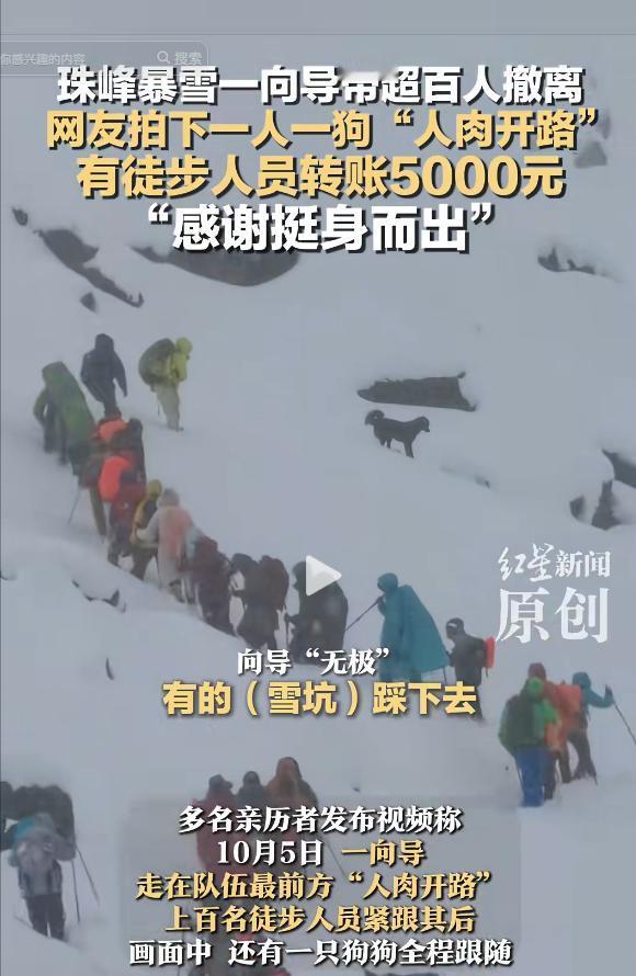 “太暖心了！”西藏珠峰突发暴雪，一向导冒“死”带百余人雪中撤离，还把狗派到前面带