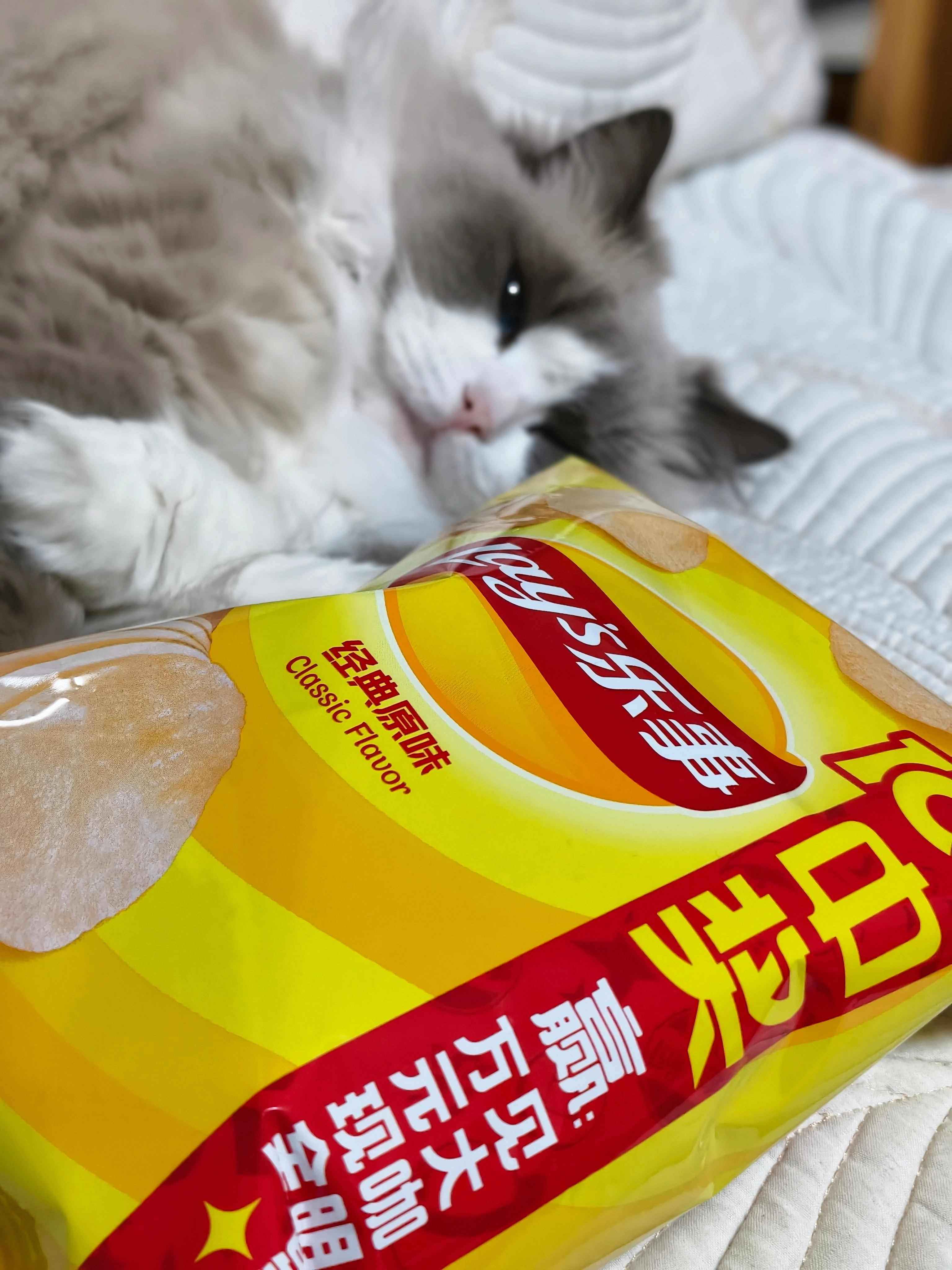 你喜欢吃哪种薯片？评论里抽一个人请你吃薯片~俺还是喜欢吃那种又薄又脆的乐事原切薯