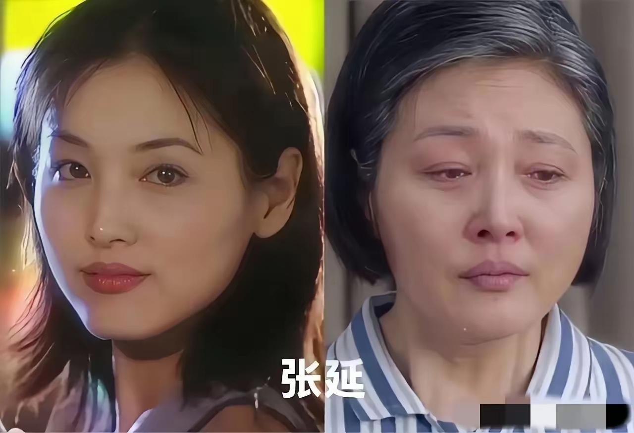 张延老了陈红老了陈小艺老了三位实力派女演员如今也老了，岁月不饶人呀