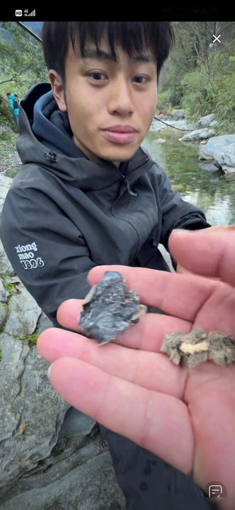 原来林北打野的是荒野最贵的食材！七星山骆驼杯荒野求生决赛第五天，林北爬山回来，