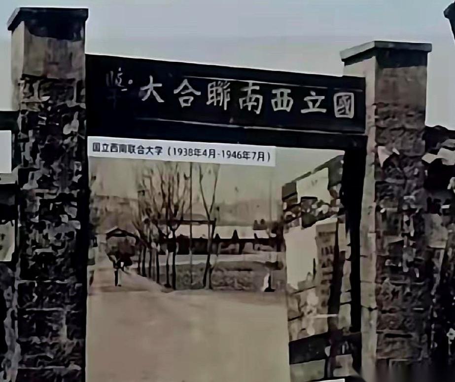杨振宁先生走了，我才发现一个事儿，有点颠覆我的认知。原来国内顶尖学府，压根就