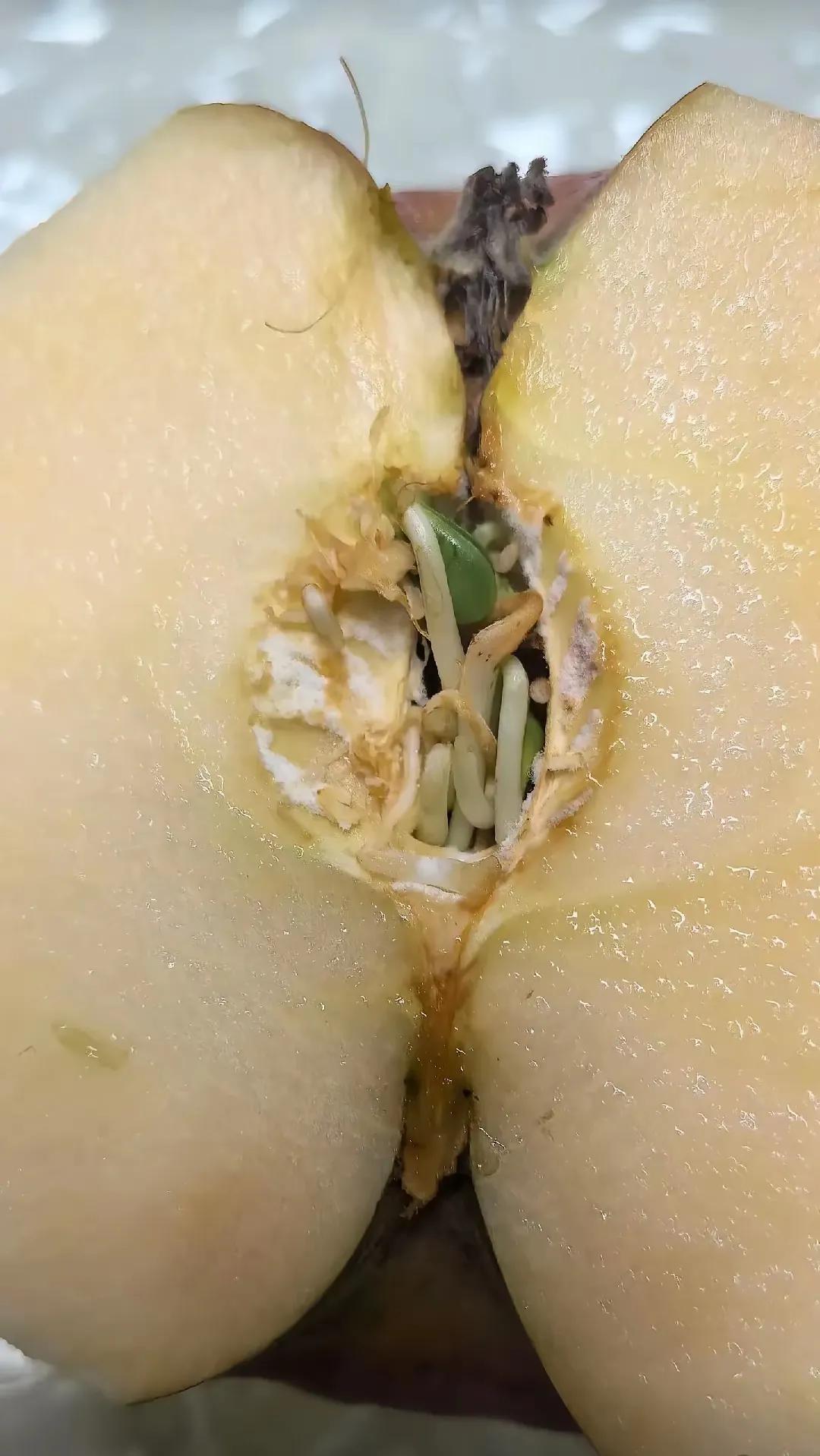 咋一看，差点让我想歪了！