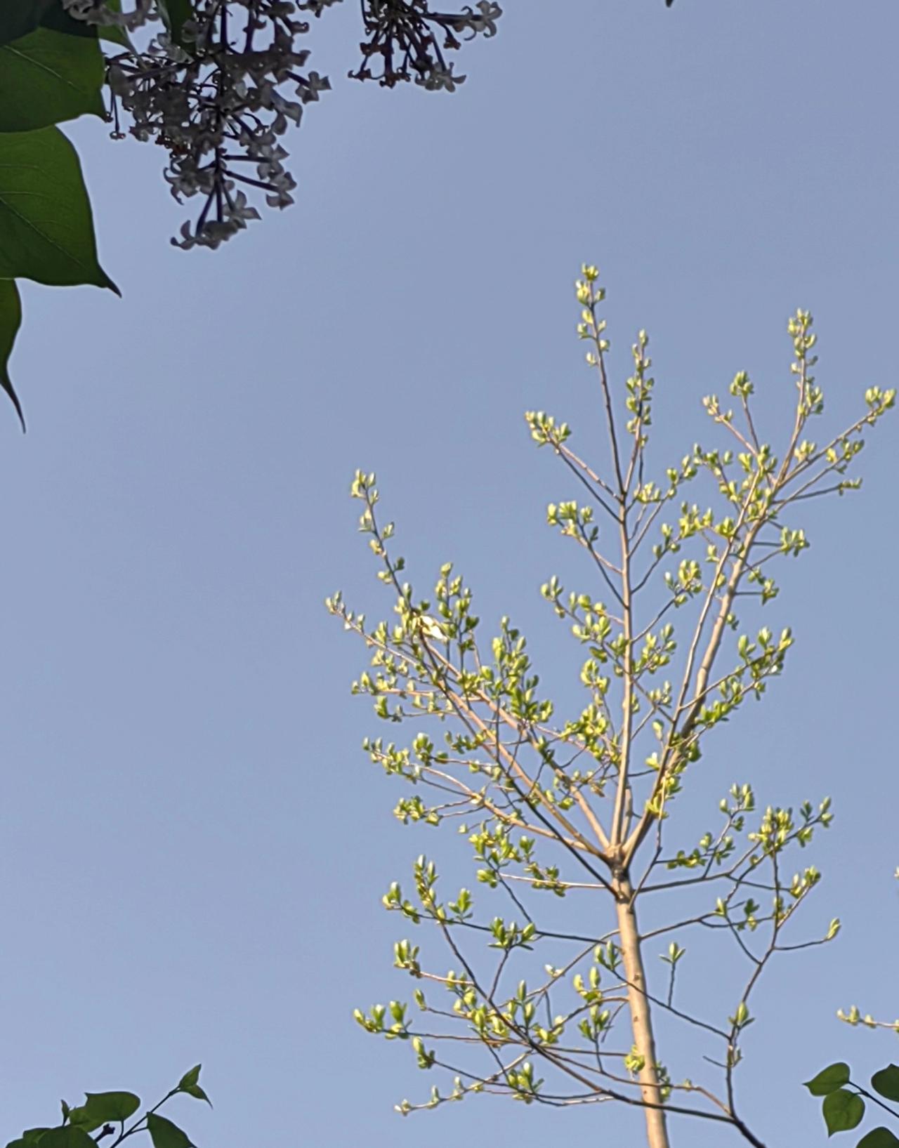 一家长十分焦虑：孩子正上小学，原来作业很多，现在比较少，晚饭后孩子基本没事干了，