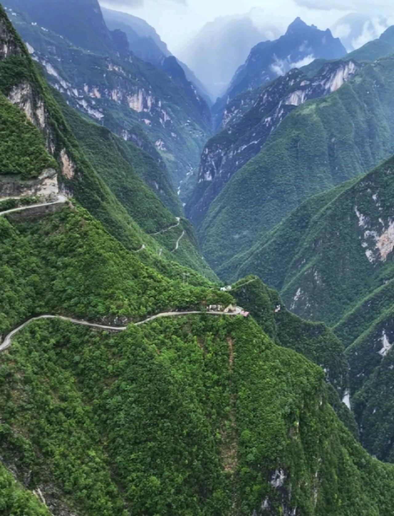 重庆完全可以低调一些，向外界宣称我们虽然是个直辖市，但底子薄，基础弱。尽管面积比