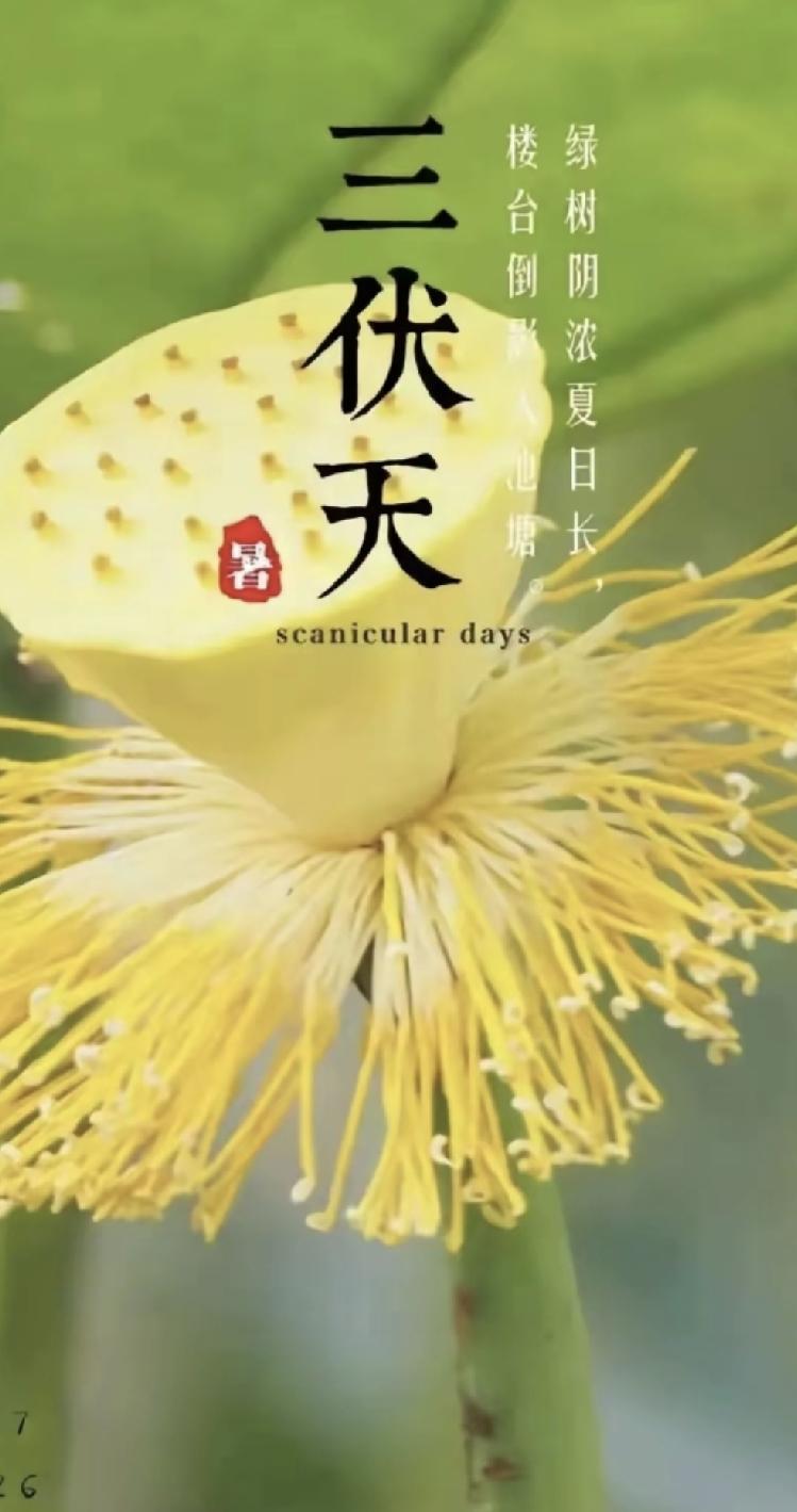 入伏之后，气温一路攀升，高温预警接连不断，这份保命提醒请所有人收好：能少出门就少