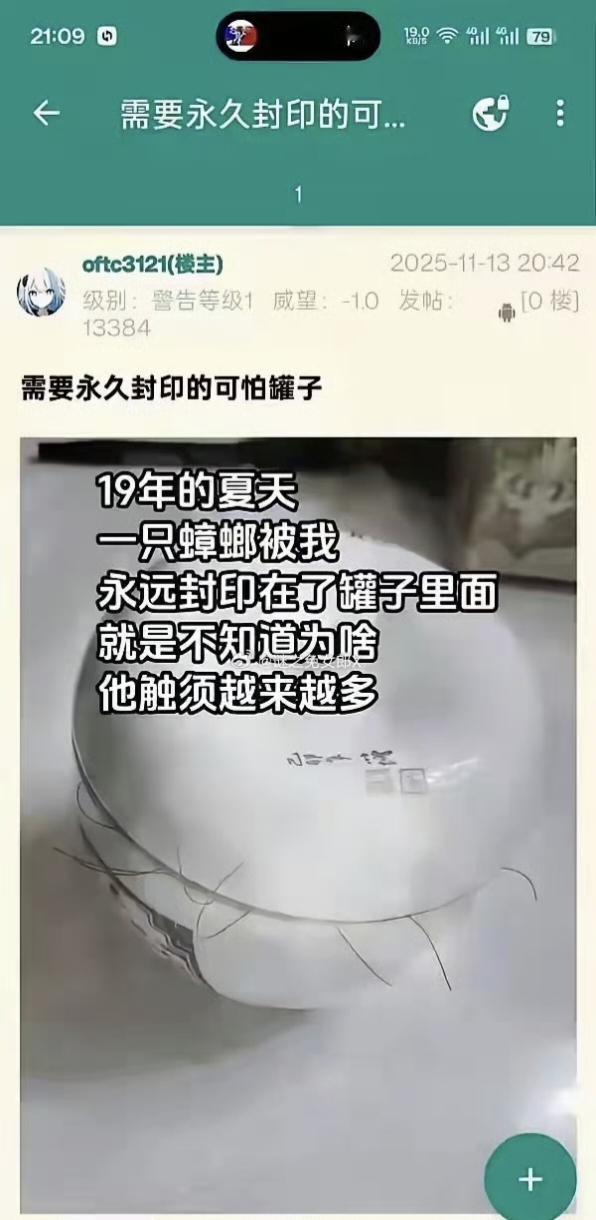北方网友：核武器也就这样了​