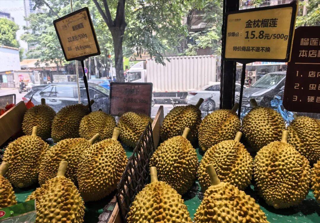 以前买榴莲，很多人第一反应就是“贵”。一个普通榴莲动辄两三百元，不少家庭想吃也要
