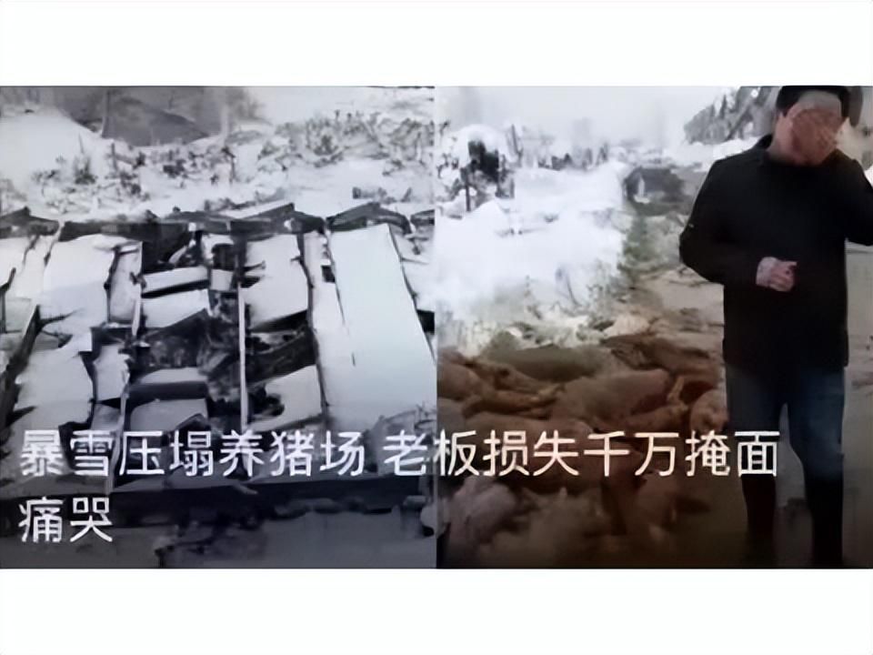13年前的删号门多恐怖？百万魔兽账号差点凉凉，九城最大背锅侠