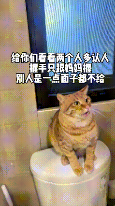 乖乖嘞，这只大橘猫可太有脾气了，认人认得真真儿的！娘俩一块儿测试小猫，俩人先后
