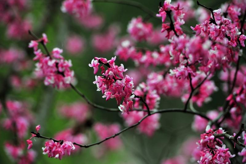 看到“春气山深碧草幽”这句下联,瞬间就被这春日深山碧草的意境拿捏了。我一开始也试