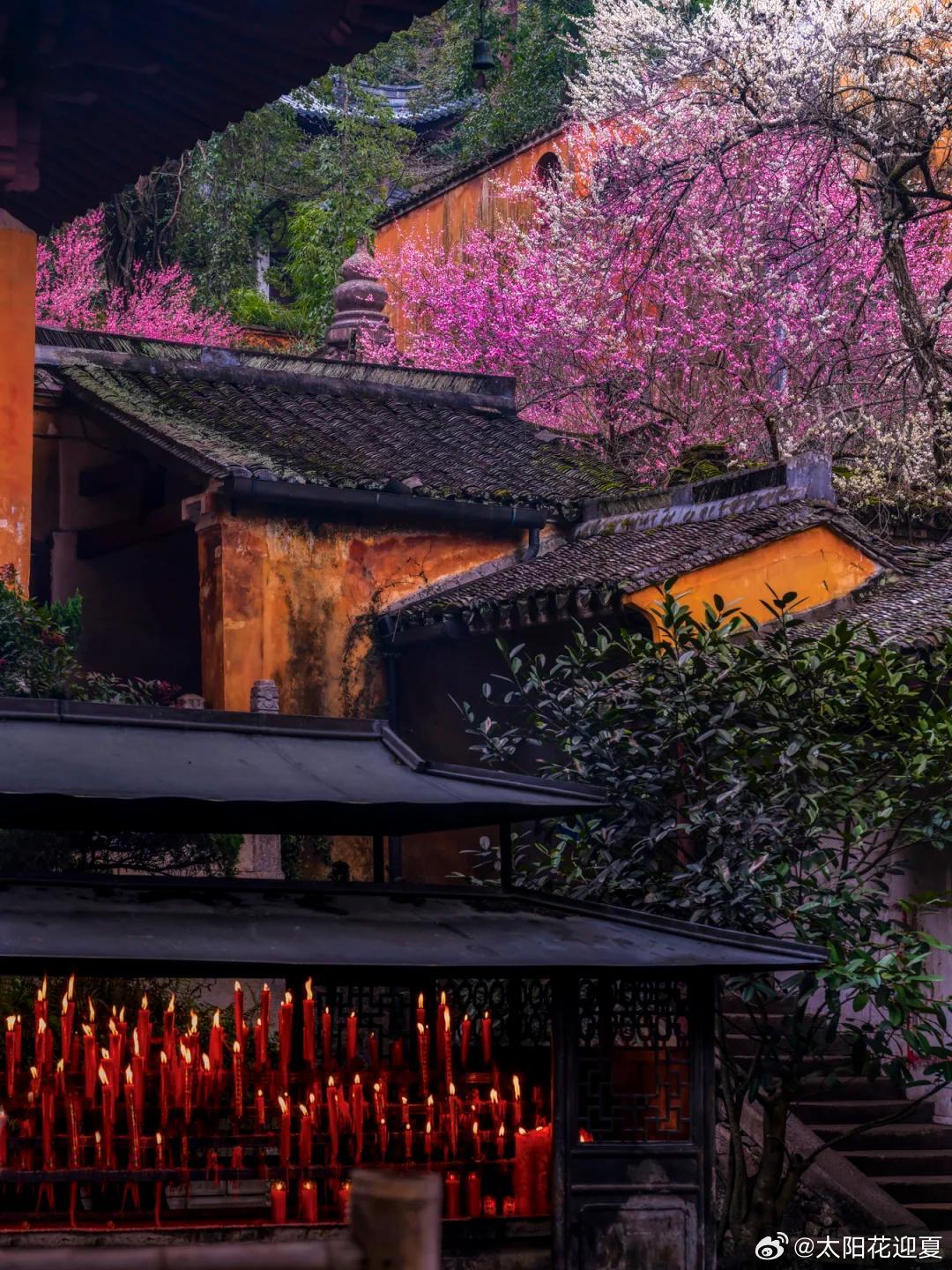 盛夏追光之旅微博旅行ing天台藏着太多清净庙宇，这座隐世小城处处禅意，四百余座寺