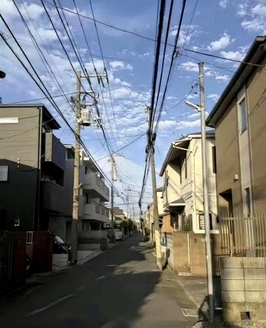 能分的出来哪个是日本，哪个是中国吗？​​​