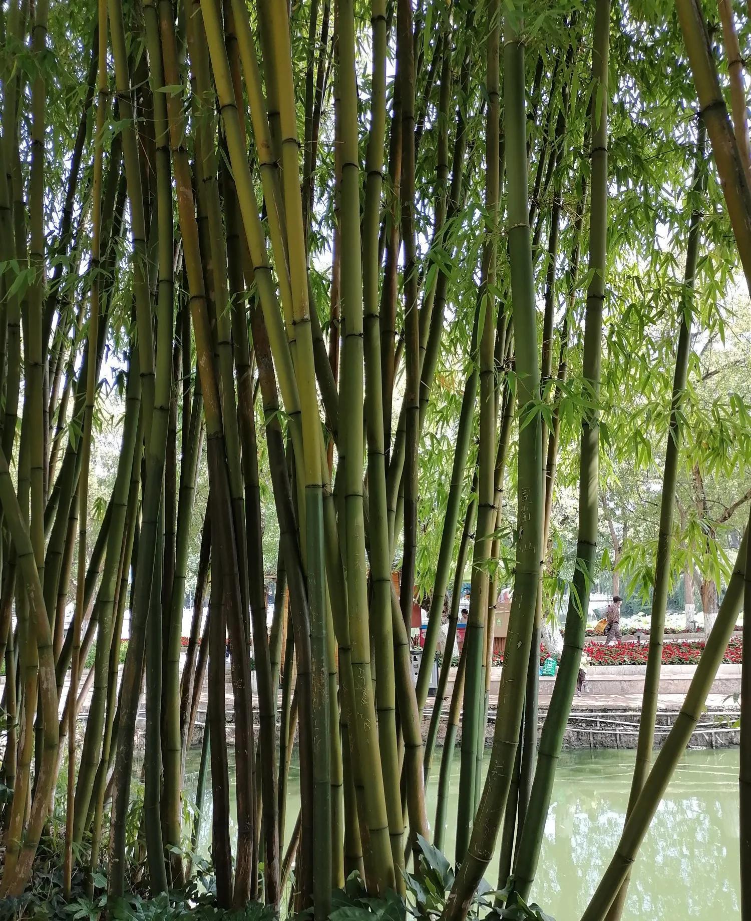以前见了就热情打招呼的邻居不理我们了。这种疏远，始于他们女儿的婚礼。