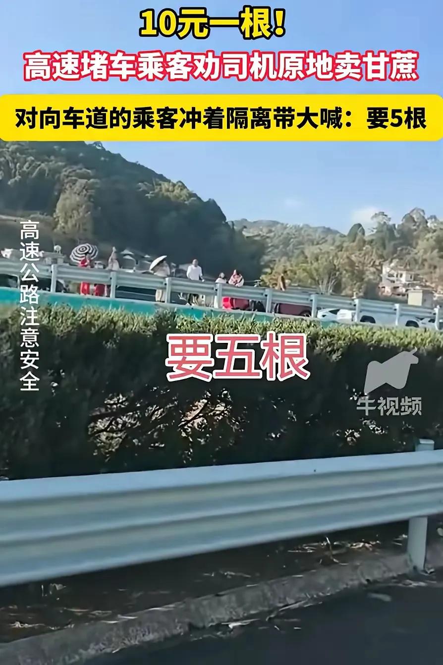 笑不活了！云南墨江高速堵车，直接把货车司机逼成了“高速摊主”，这波操作太绝了！