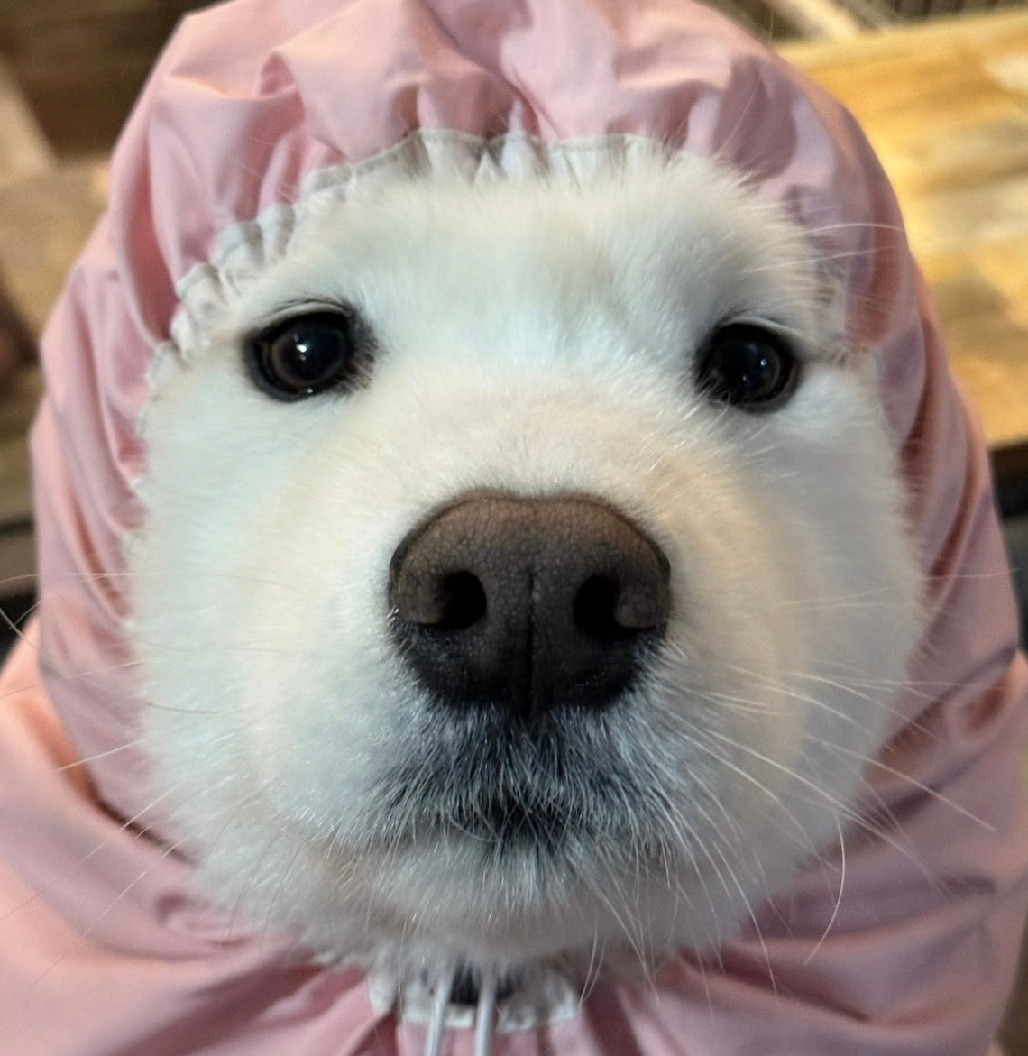 妈妈，其实我不怎么怕冷的，我老家那儿老冷了！