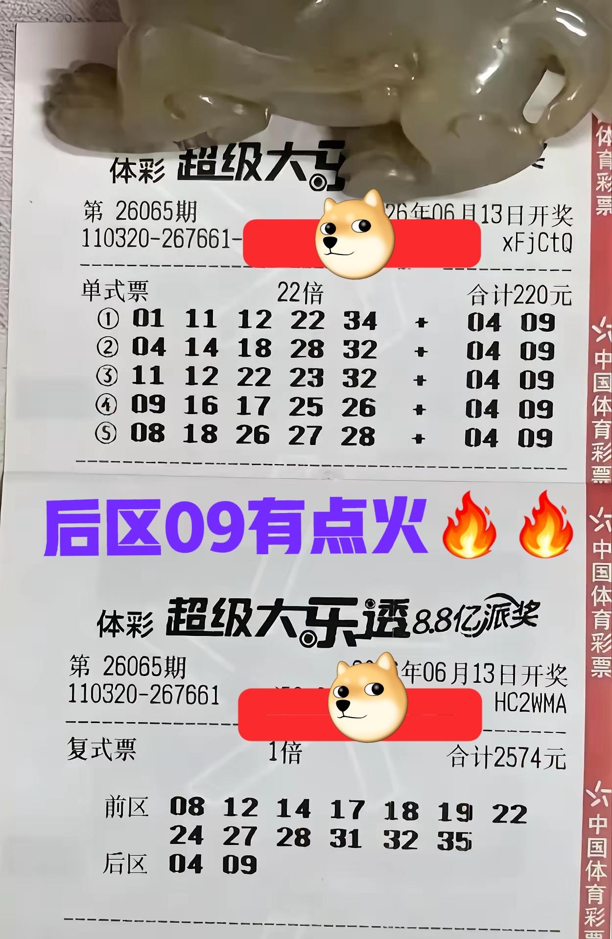 大佬这一期回归常态，一张22倍票和一张大复式，后区统一独蓝04/09，但是这一期