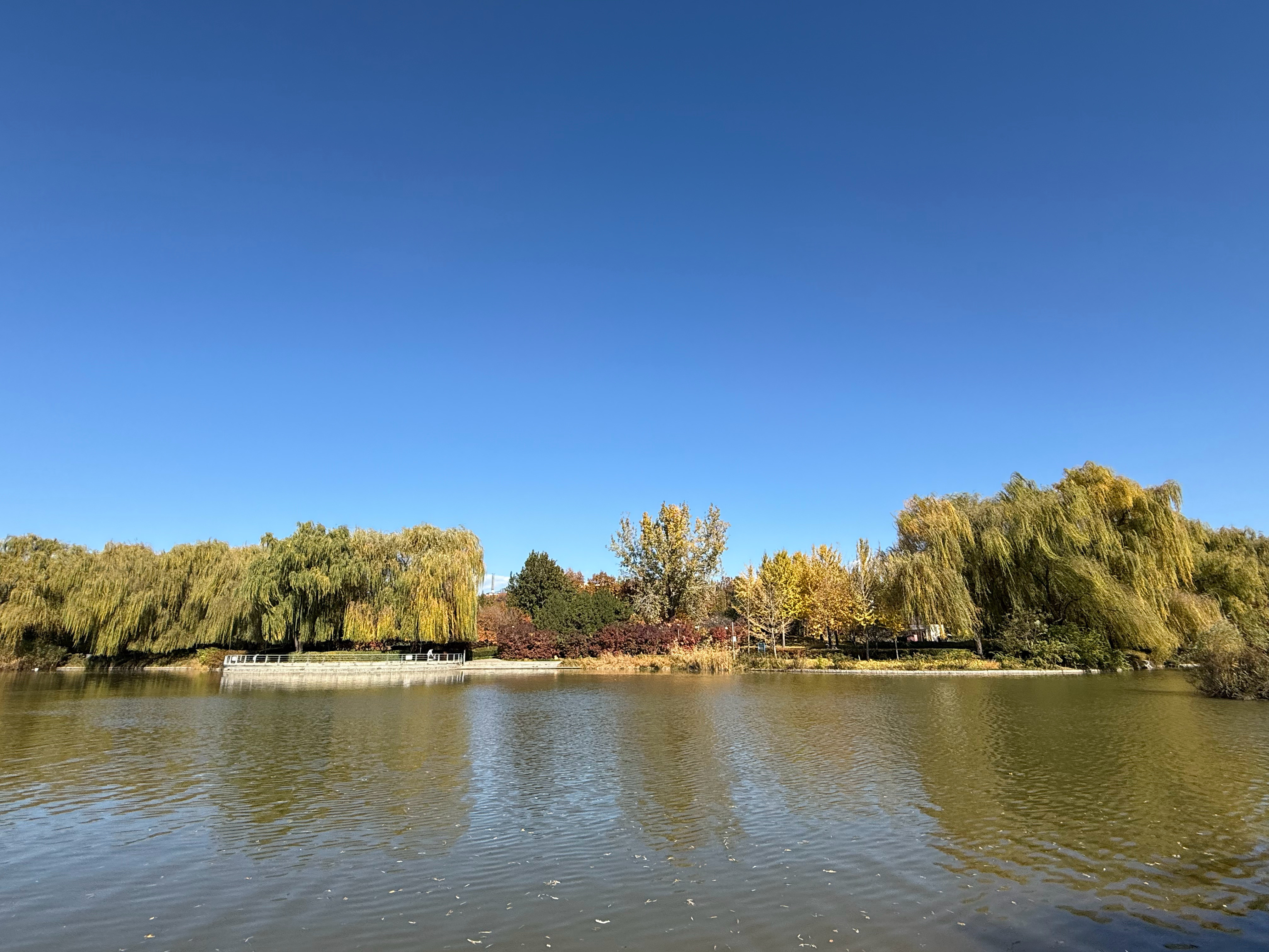 11月你好2025年最后2个月下周就立冬了北京一年中最美好的时候——秋天🍂