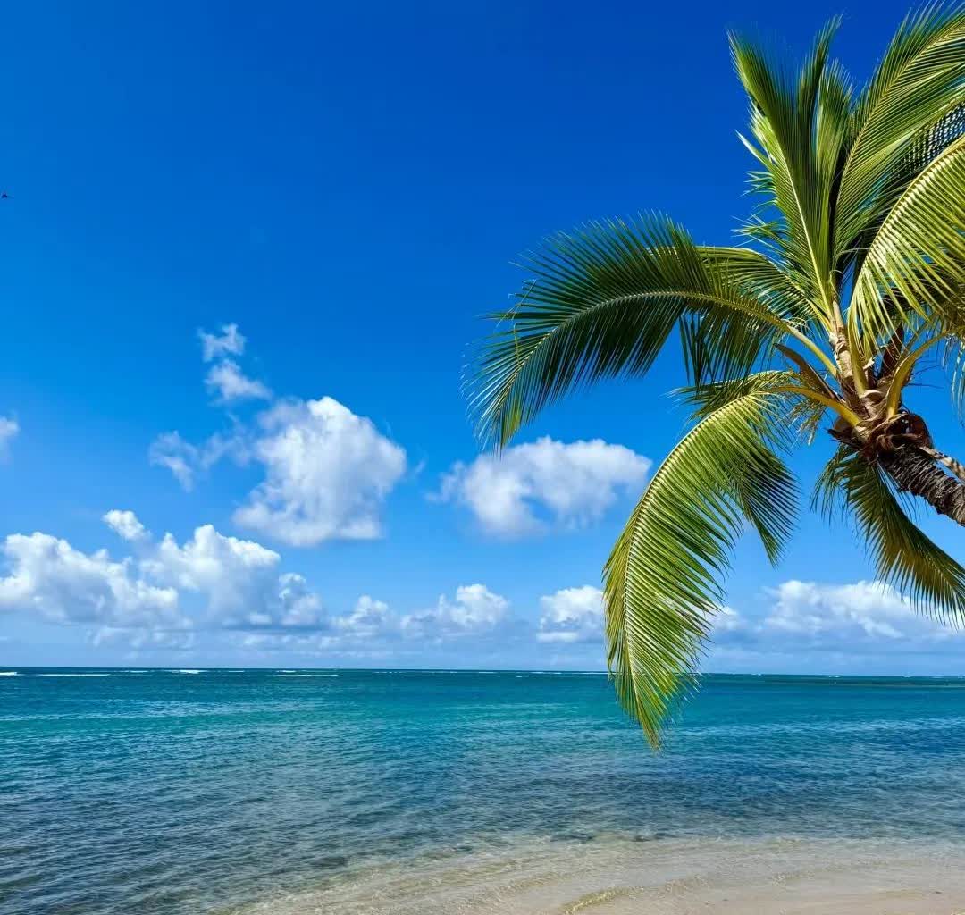 我有个住在美丽国夏威夷的朋友给我打来了电话他说他接到美丽国发出的消息，吓