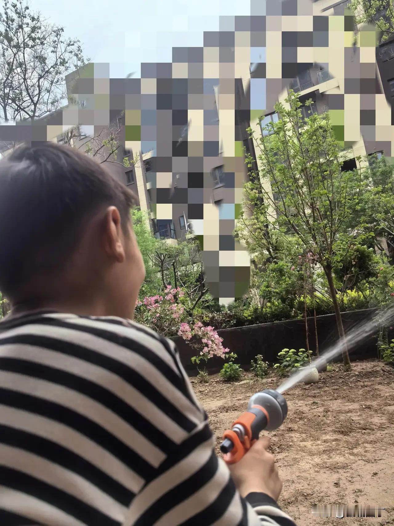 女儿开始后悔没有好好学习，刚刚专门给小宝打了一个电话，勒令小宝努力学习。“小