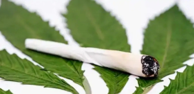 泰国大麻合法化旅游业凉凉泰国政府当初脑子一热，学人家搞大